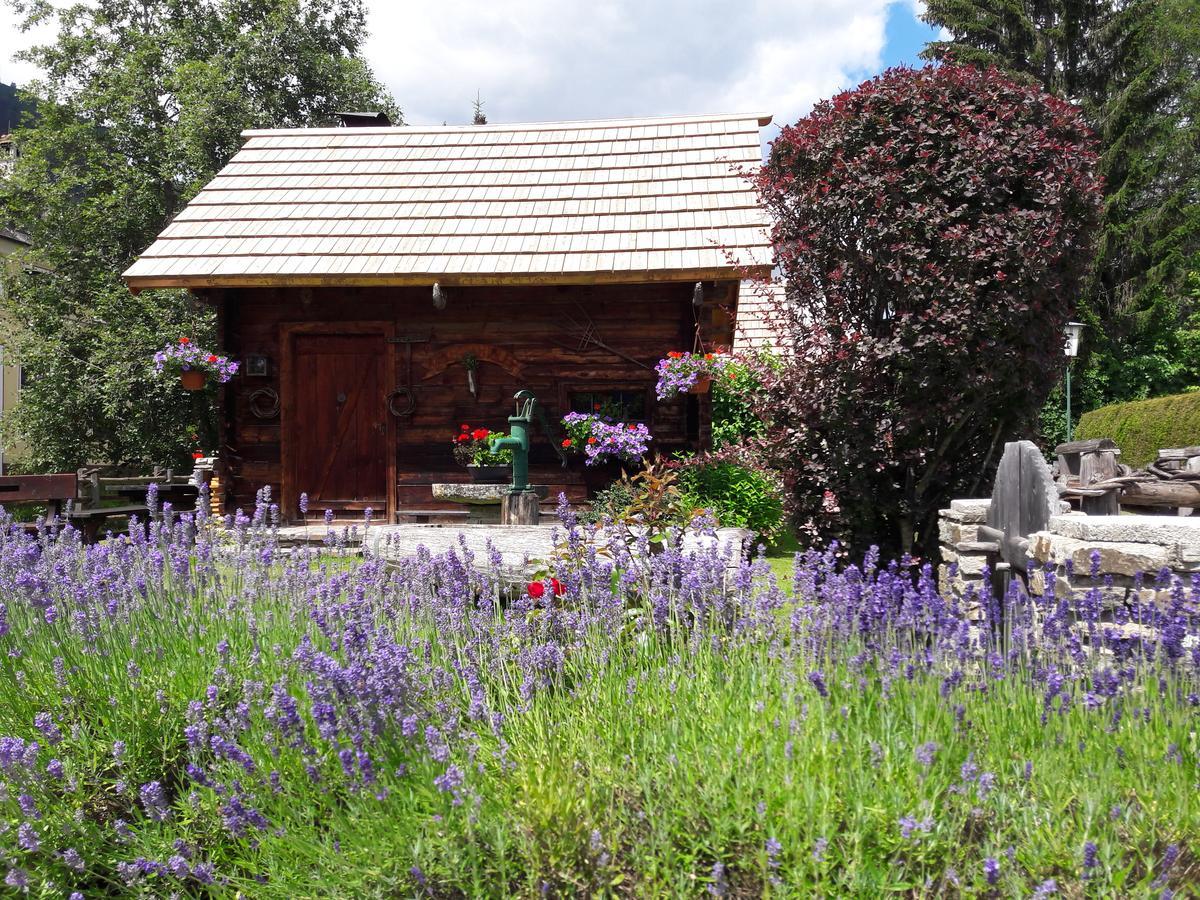 Hotel Stegmuehlhof Mauterndorf  Εξωτερικό φωτογραφία